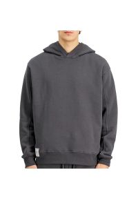 Bluza męska Alpha Industries Studio Edition 156335684 - szara. Typ kołnierza: kaptur. Kolor: szary. Materiał: poliester, bawełna. Styl: klasyczny #1