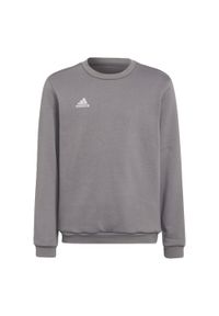 Adidas - Entrada 22 Sweat Top. Kolor: szary. Materiał: materiał. Sport: piłka nożna