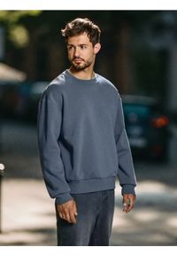 Sinsay - Bluza basic comfort fit - szary. Kolor: szary