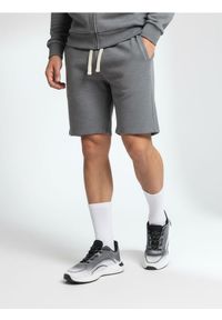 Sinsay - Szorty z wiązaniem - szary. Kolor: szary