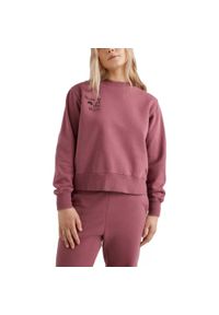 Sweter damski O'Neill Of Theave Crew. Kolor: fioletowy. Sport: turystyka piesza #1