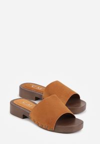 Renee - Brązowe Klapki z Nitami Lephiaphe. Okazja: na co dzień. Kolor: brązowy. Wzór: aplikacja. Sezon: lato. Styl: casual, elegancki #3