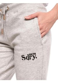 Spodnie turystyczne damskie Superdry Ana. Kolor: szary. Materiał: poliester, bawełna. Sport: turystyka piesza