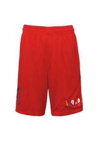 Nike - Spodenki męskie nike air jordan dna shorts university red. Kolor: czerwony. Sport: koszykówka #1