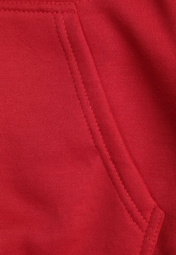 Born2be - Czerwona Bluza z Kapturem Kasseia. Typ kołnierza: kaptur. Kolor: czerwony. Materiał: dzianina, polar. Styl: klasyczny