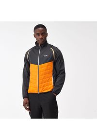 Regatta - Kurtka męska - Steren Hybrid. Kolor: żółty, szary, wielokolorowy, pomarańczowy. Sport: turystyka piesza #1