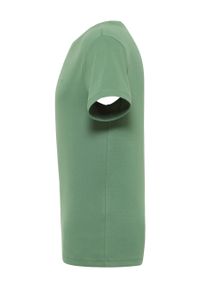 Męski T-Shirt Mustang Style Allen Dark Ivy 1016268 6326 #3