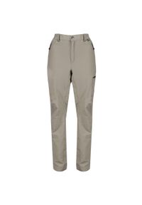 Regatta - Męskie Spodnie Z Odpinanymi Nogawkami Highton Zip Off. Kolor: beżowy #1
