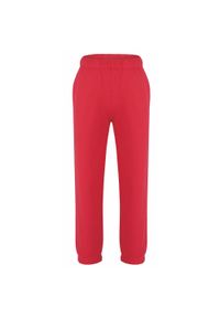 ZOOPLEMENTS - Spodnie treningowe dla dzieci Disindi 164 - ciepłe i trwałe. Okazja: do domu, na uczelnię. Kolor: wielokolorowy. Materiał: bawełna, dresówka #1