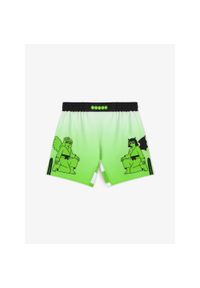 MANTO spodenki TWO SIDES zielone. Kolor: zielony. Długość: krótkie. Sezon: lato #1