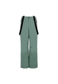 Kombinezon narciarski dziewczęcy Protest Sunny. Kolor: zielony. Sezon: zima. Sport: narciarstwo #1