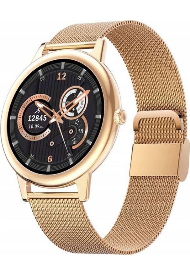 Smartwatch Bakeeley E10 Złoty. Rodzaj zegarka: smartwatch. Kolor: złoty