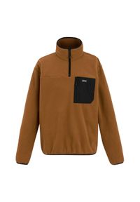 Regatta - Polarowy Top Męska Suwak Do Połowy Frankie. Kolor: brązowy. Materiał: polar. Sezon: zima #1