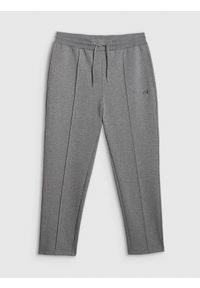 4f - 4F Spodnie dresowe męskie - szare XL. Kolor: szary. Materiał: dresówka #1