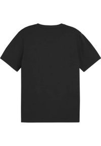 Koszulka sportowa męska Puma Team Goal Casuals. Kolor: czarny. Materiał: bawełna. Długość rękawa: krótki rękaw. Długość: krótkie
