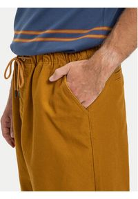 DC Shoes Spodnie materiałowe Framed EDYNP03169 Brązowy Relaxed Fit. Kolor: brązowy. Materiał: bawełna #5