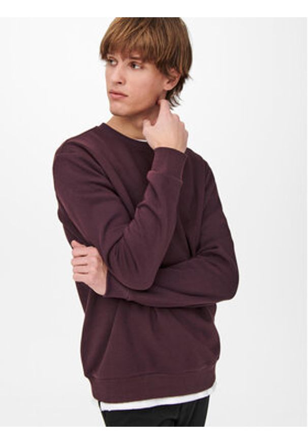 Only & Sons Bluza 22018683 Bordowy Regular Fit. Kolor: czerwony. Materiał: bawełna