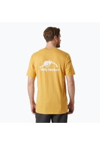 Koszulka męska Helly Hansen Nord Graphic. Kolor: żółty. Sport: turystyka piesza #1