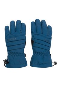 DARE 2B - Damskie Rękawice Narciarskie Z Logo Charisma III. Kolor: szary, niebieski, wielokolorowy. Sezon: zima. Sport: narciarstwo #1