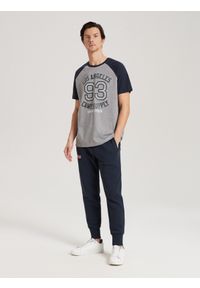 Diverse - T-shirt męski z nadrukiem HUMTLEX S1815 - szary - Rozmiar: XL. Kolor: szary. Materiał: poliester, bawełna. Wzór: nadruk #3