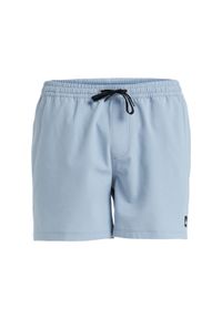 Quiksilver - Szorty kąpielowe dla Mężczyzn EVERYDAY FLEX VOLLEY 15". Kolor: czarny. Materiał: poliester, materiał, elastan. Styl: sportowy