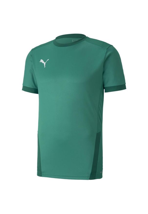 Koszulka do piłki nożnej męska Puma teamGOAL 23 Jersey. Kolor: zielony. Materiał: poliester