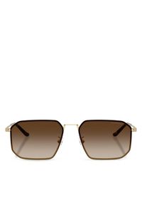 Emporio Armani Okulary przeciwsłoneczne 0EA2165D 300213 Brązowy. Kolor: brązowy