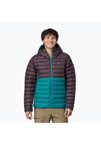 Kurtka puchowa męska Patagonia Down Sweater Hoody. Kolor: niebieski. Materiał: puch. Sport: turystyka piesza