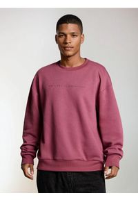 Sinsay - Bluza z napisem - fioletowy. Kolor: fioletowy. Wzór: napisy