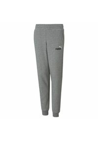 Spodnie dresowe dla dzieci Puma Essentials+ 2 Col Logo Dziecięcy. Kolor: wielokolorowy. Materiał: dresówka