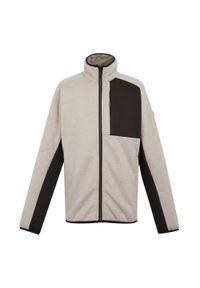 Polar zapinany na zamek błyskawiczny Regatta Shorston. Kolor: beżowy. Materiał: polar. Sport: turystyka piesza #1