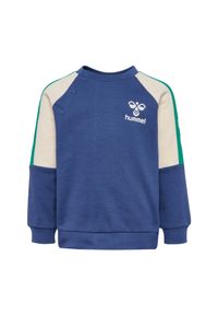 Bluza dziecięca Hummel Skylan. Kolor: niebieski. Materiał: bawełna #1
