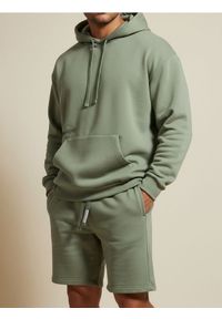 Sinsay - Szorty slim fit - zielony. Kolor: zielony #1