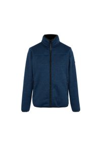 Polar zapinany na zamek błyskawiczny Regatta Branleigh. Kolor: niebieski. Materiał: polar. Sport: turystyka piesza #1