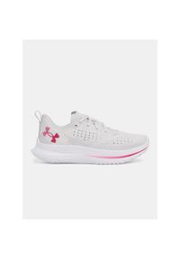 Buty do biegania damskie Under Armour Velociti 4 SE. Kolor: szary. Sport: bieganie