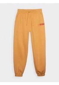 outhorn - Spodnie dresowe damskie - żółte. Kolor: żółty. Materiał: dresówka. Wzór: nadruk