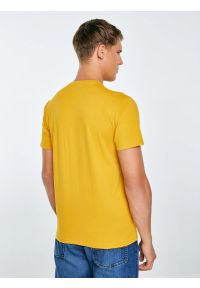 Big-Star - Koszulka męska z nadrukiem żółta Mifer 201. Kolor: żółty. Materiał: bawełna, jeans, dzianina. Wzór: nadruk. Styl: klasyczny #3