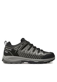 TREZETA - Trezeta Trekkingi Thunder Wp 10724085 Czarny. Kolor: czarny. Materiał: skóra, zamsz. Sport: turystyka piesza