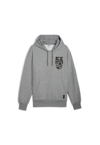 Bluza Puma Hoops. Typ kołnierza: kaptur. Kolor: szary. Sport: koszykówka