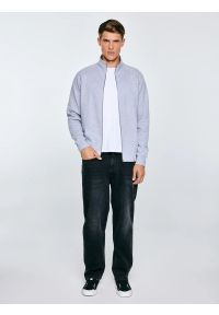 Big-Star - Bluza męska rozpinana szara Madorol 901. Kolor: szary. Wzór: gładki #6