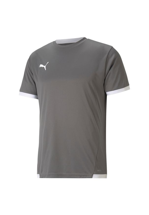 Koszulka Puma TeamLiga. Kolor: szary, wielokolorowy, biały. Materiał: jersey. Sport: piłka nożna