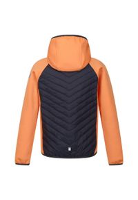 Regatta - Kurtka Dziecięca/dziecięca Kielder Hybrid VII Padded Jacket. Kolor: pomarańczowy, wielokolorowy, szary