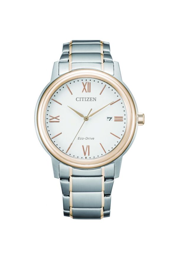 CITIZEN ZEGAREK SPORTS AW1676-86A. Styl: biznesowy, elegancki, retro