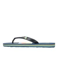 Quiksilver - Klapki dla Chłopcy MOLOKAI SLAB Multicolore. Kolor: niebieski. Materiał: guma, syntetyk, materiał