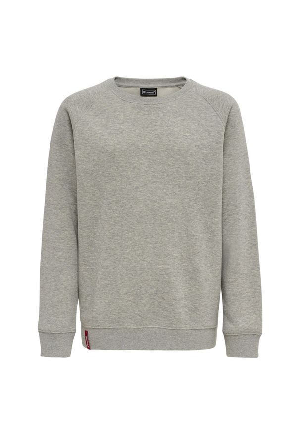 Bluza dziecięca Hummel Red Classic. Kolor: szary. Sport: joga i pilates