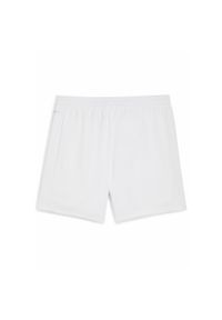 Puma - Młodzieżowe szorty FC St. Pauli 25/26 PUMA White Espresso Brown. Kolor: brązowy, biały, wielokolorowy. Materiał: tkanina. Sport: piłka nożna