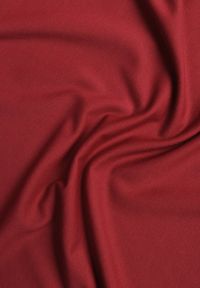 Renee - Bordowa Bluzka Longsleeve Vices z Asymetrycznym Dekoltem Fertie. Okazja: na co dzień. Kolor: czerwony. Materiał: jeans. Długość rękawa: długi rękaw. Długość: długie. Styl: elegancki, casual #6