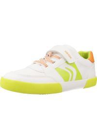 Geox - Buty GEOX J GISLI BOY Biały. Kolor: biały. Materiał: tkanina, skóra. Sport: turystyka piesza #1