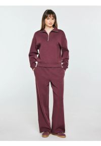 Big-Star - bluza damska z golfem bordowa dariana 604. Typ kołnierza: golf. Kolor: czerwony. Materiał: bawełna, dzianina. Styl: sportowy #8