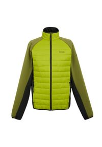 Regatta - Męska Kurtka Hybrydowa Clumber IV Full Zip. Kolor: zielony